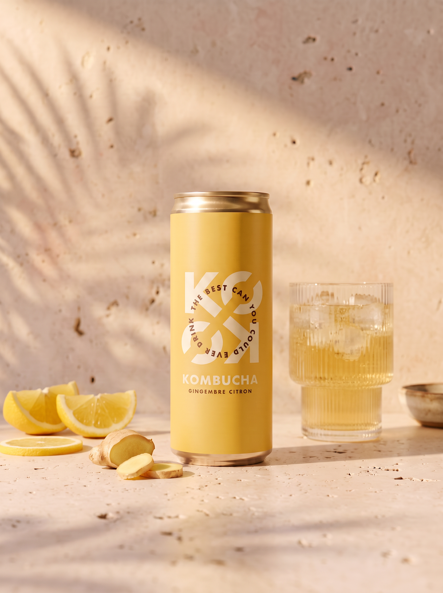 Gingembre-Citron (canettes)